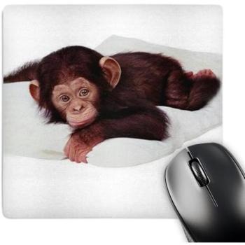 3dRose LLC 8 x 8 x 0.25 Inches Mouse Pad, Cute Chimpanzee