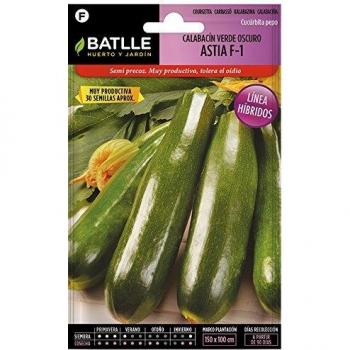 Semillas Hortícolas Híbridas - Calabacín Verde Oscuro Astia F-1 - Batlle