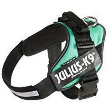 JULIUS-K9 16IDC Power Harness