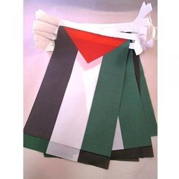 AZ FLAG Guirnalda 6 Metros 20 Banderas de Palestina 21x15cm - Bandera Palestina 15 x 21 cm - BANDERINES