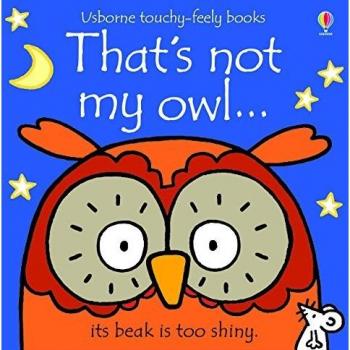 That's not my owl...: 1