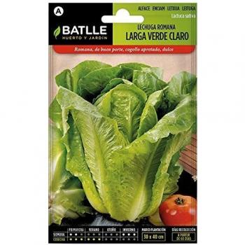 Lechuga Romana LARGA VERDE
