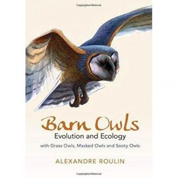 Barn Owls: Evolution and Ecology