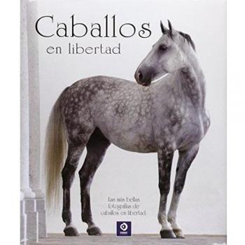Caballos En Libertad