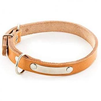 Collar de perro de cuero con placa identificativa Martin Sellier