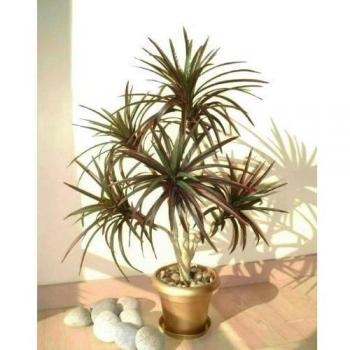 Yuca Palma (91cm) - Árbol Artificial SIN MACETA
