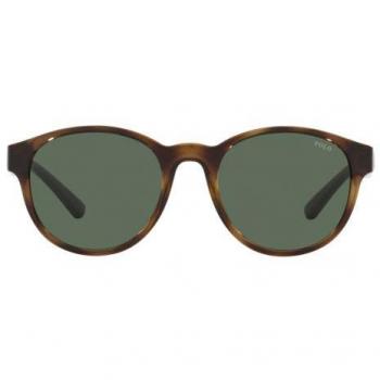 Polo Ralph Lauren PH4176 Brown Green Acetate Sunglasses for Men