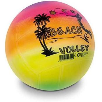 Viscio Trading 125699 Volley Rainbow - Balón de voleibol