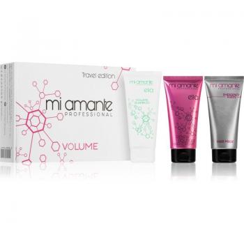 Mi Amante Professional Ella Volume Travel Set