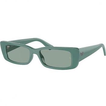 Ray-Ban Teru RB4425 676282 54 Sunglasses