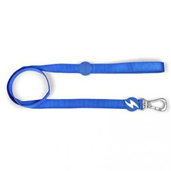 Correa de nylon para perro Dashi Solid Azul