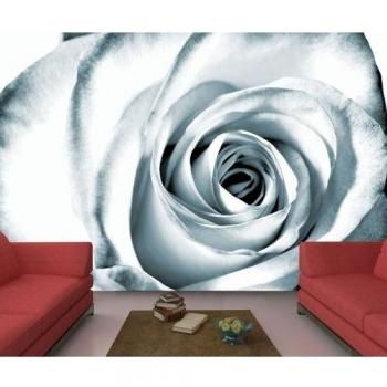 Papel pintado fotográfico con negro y blanco rosa decoración de pared 420 x 270 cm