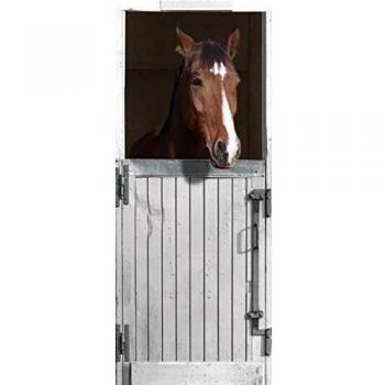 Plage Caballo Puerta Trampantojo de Puerta, Vinilo, Multicolor, 83x204 cm