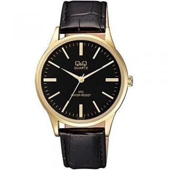 Q&Q MENS WATCH (C214J102Y)