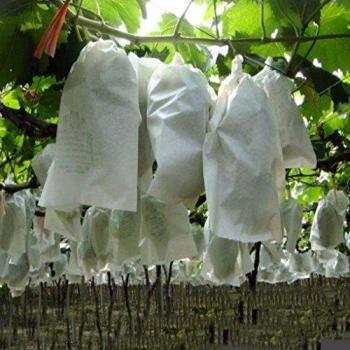 100 Unids Uvas de Jardín Bolsa de Protección de Frutas para Fruta Bosque Vegetal Cama Flor de Control