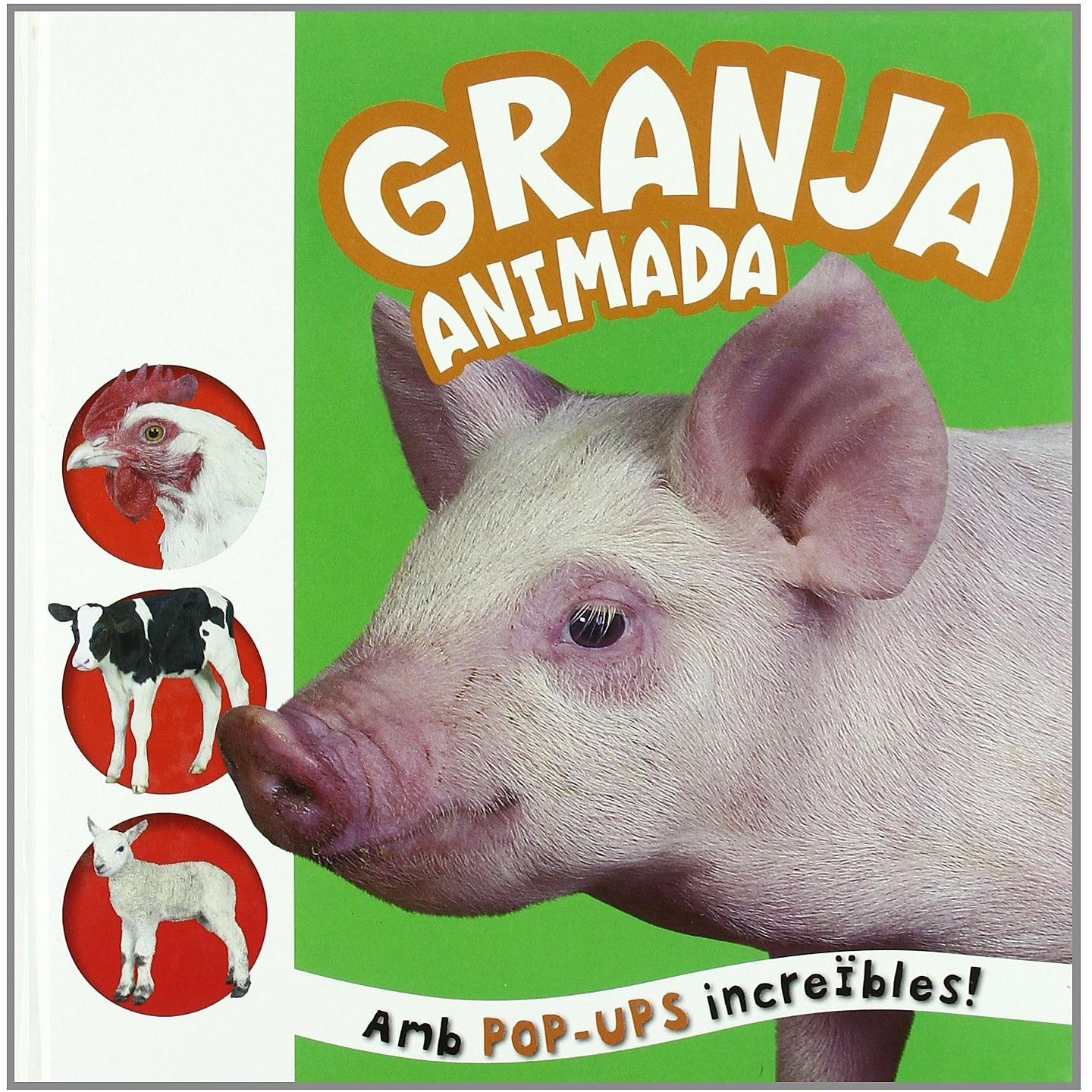 Imagen Principal