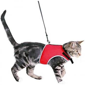 Trixie 41896, Correa Gatos, 24-42 cm,