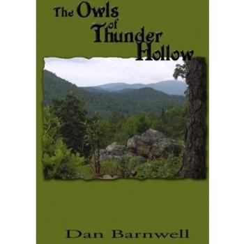 Thunder Hollow Owl Figurines - Collectible Ceramic Statues