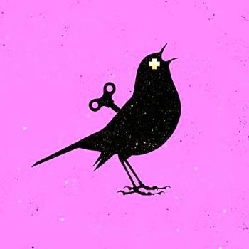 Diseño de pájaros - rosa