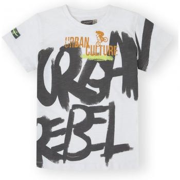 Camiseta niño manga corta con dibujo frontal 100% algodón