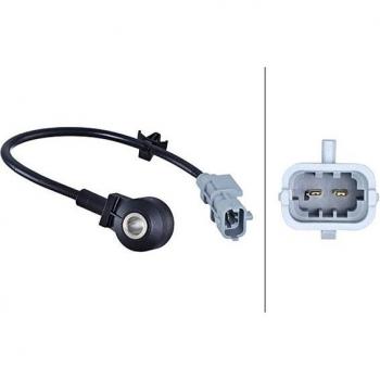 Sensor de detonaciones HELLA 6PG 013 114-381