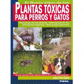 Plantas Toxicas Para Perros Y Gatos