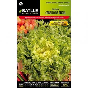 Semillas Hortícolas - Escarola Cabello de Ángel sel. Fildor - Batlle