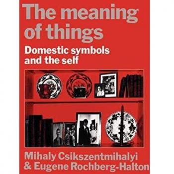 The Meaning of Things: Domestic Symbols and the Self