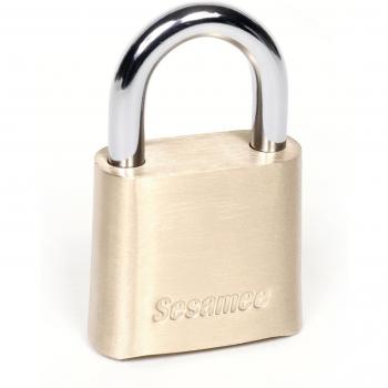 Sesamee K436 4 Dial Bottom Resettable Combination Brass Padlock with 1-Inch Hardened Steel Shackle and 10,000 Potential Combinations