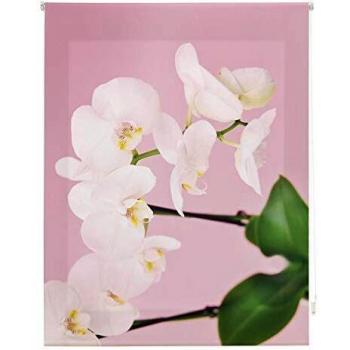 Homeflex Storalia - Estor Digital Salon Peace - Enrollable - 100X180 cm - Disponible en Varias Medidas