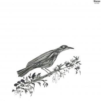 Canto Peregrino [Vinilo]