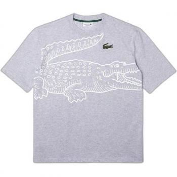 Tee-Shirt Lacoste Loose Fit Organic Cotton Gris - Hombre