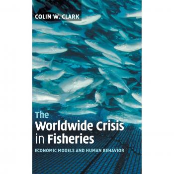 Crisis Mundial en la Pesca: Análisis y Soluciones Sostenibles