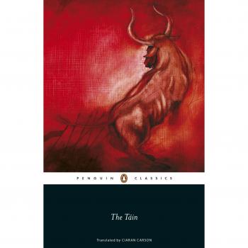 The Tain by Penguin Books Ltd Paperback 2008