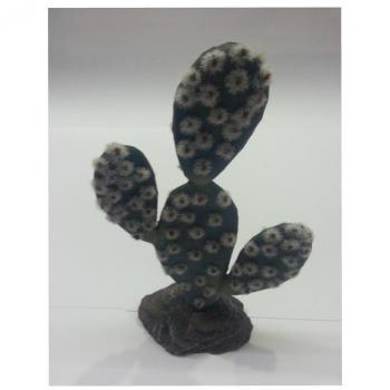 Cactus Sahara Resina 19cm