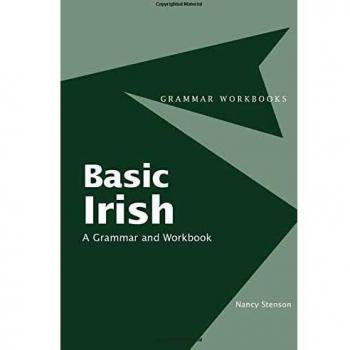 Basic Irish: A Grammar and Workbook