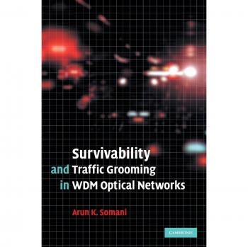WDM Optical Networks: Survivability and Traffic Grooming Strategies