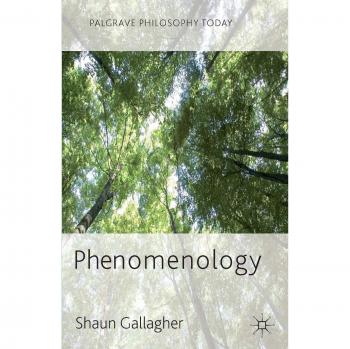 Palgrave Philosophy Today: Phenomenology (Paperback Edition)