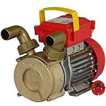 Electrobomba líquidos Rover Pompe Rover 30 CE - 750 W - 4500 L/h