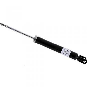 SACHS 317409