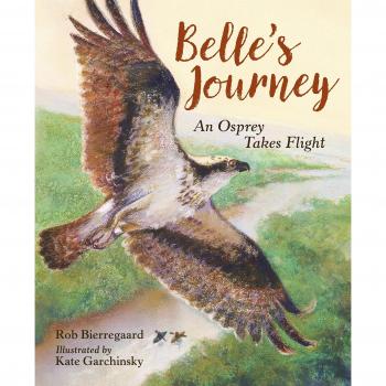 Belle's Journey: An Osprey Takes Flight