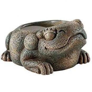 Exo Terra Bebedero Azteca Rana 1 Unidad 200 g
