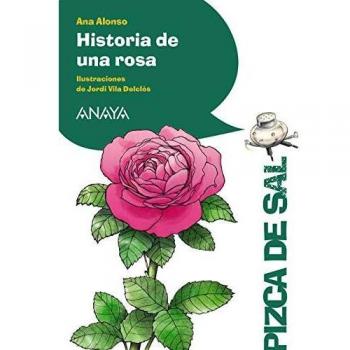 Historia de una rosa