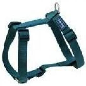 Freedog Collar Perro Nylon 25 mm