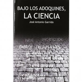 Bajo los adoquines, la ciencia