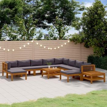 12-Piece Solid Acacia Wood Garden Lounge Set with Cushions