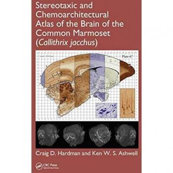 Stereotaxic and Chemoarchitectural Atlas of the Brain of the Common Marmoset