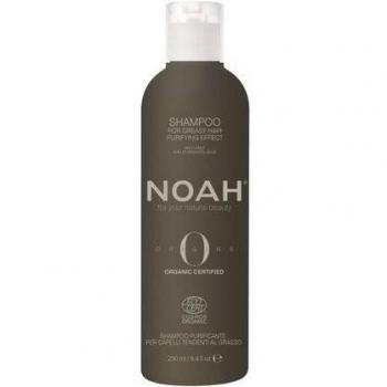 Noah Champú Purificante Menta y Salvia Fermentada 250ml