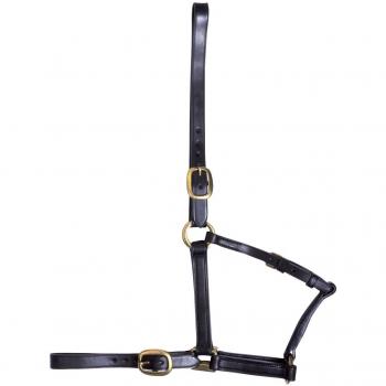 GFS Yearling - Cabezada para caballos, color marrón, talla única