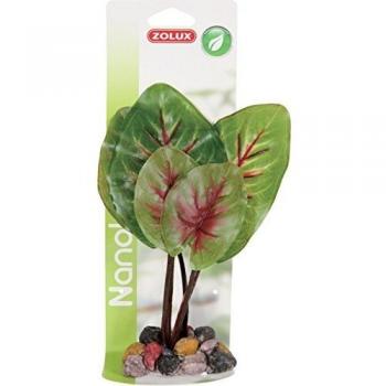 Decoración de planta natural n°1 para acuario y terrario Zolux